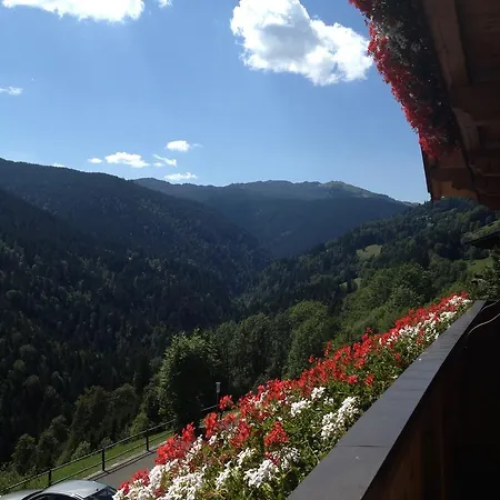 Penzion Berggasthof Hintergfoell 3*