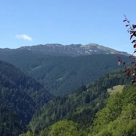 Penzion Berggasthof Hintergfoell Unken